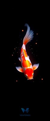 Luminous Orange Koi Fish Swimming in Cosmic Dark Waters