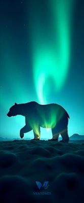 Polar Bear Silhouette Under Northern Lights Aurora Display