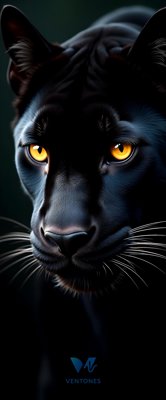 Black Panther Portrait with Golden Eyes Dark Mobile Wallpaper