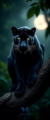 Black Panther with Glowing Green Eyes in Moonlit Jungle
