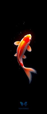 Glowing Koi Fish Swimming in Dark Waters Mobile Wallpaper