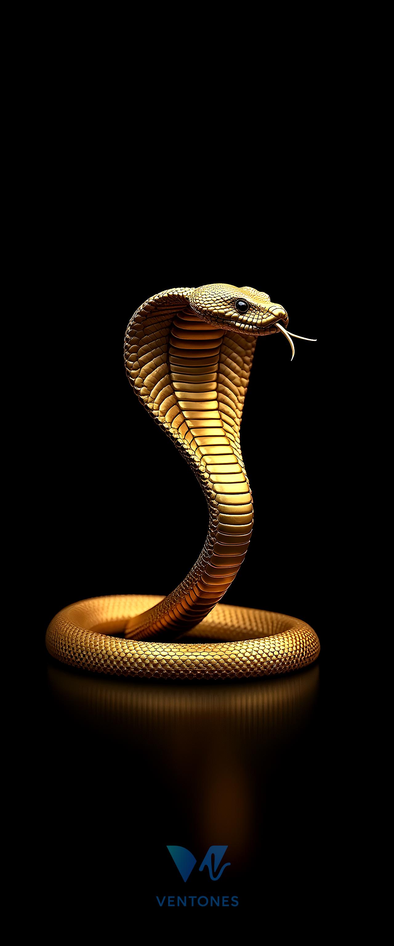 Golden Cobra Snake Dark Luxury Mobile Wallpaper - AI Generated Wallpaper