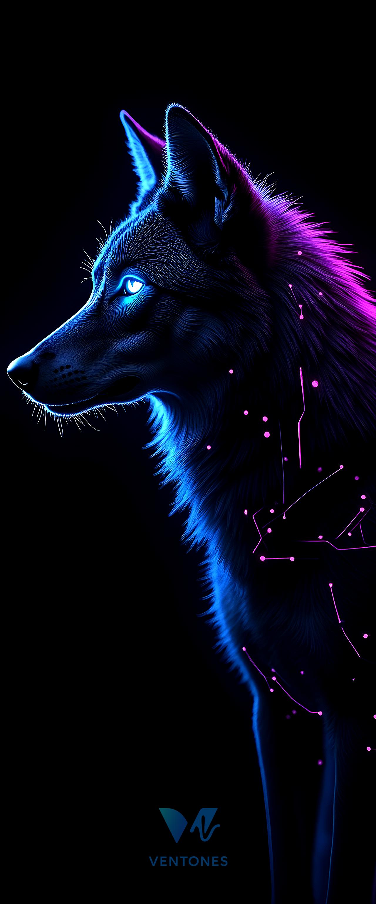 Neon Wolf Digital Art - Blue Purple Cyberpunk Animal Portrait - AI Generated Wallpaper