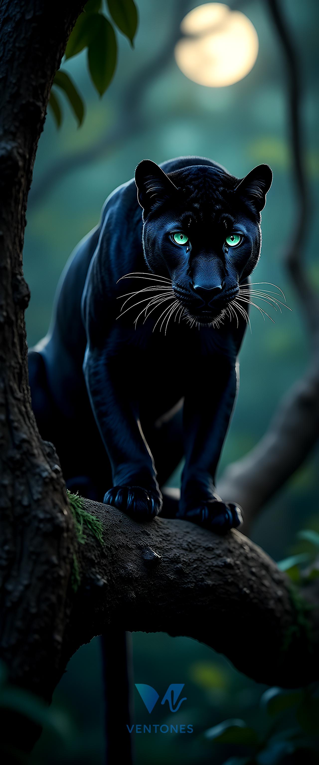 Black Panther with Glowing Green Eyes in Moonlit Forest - AI Generated Wallpaper
