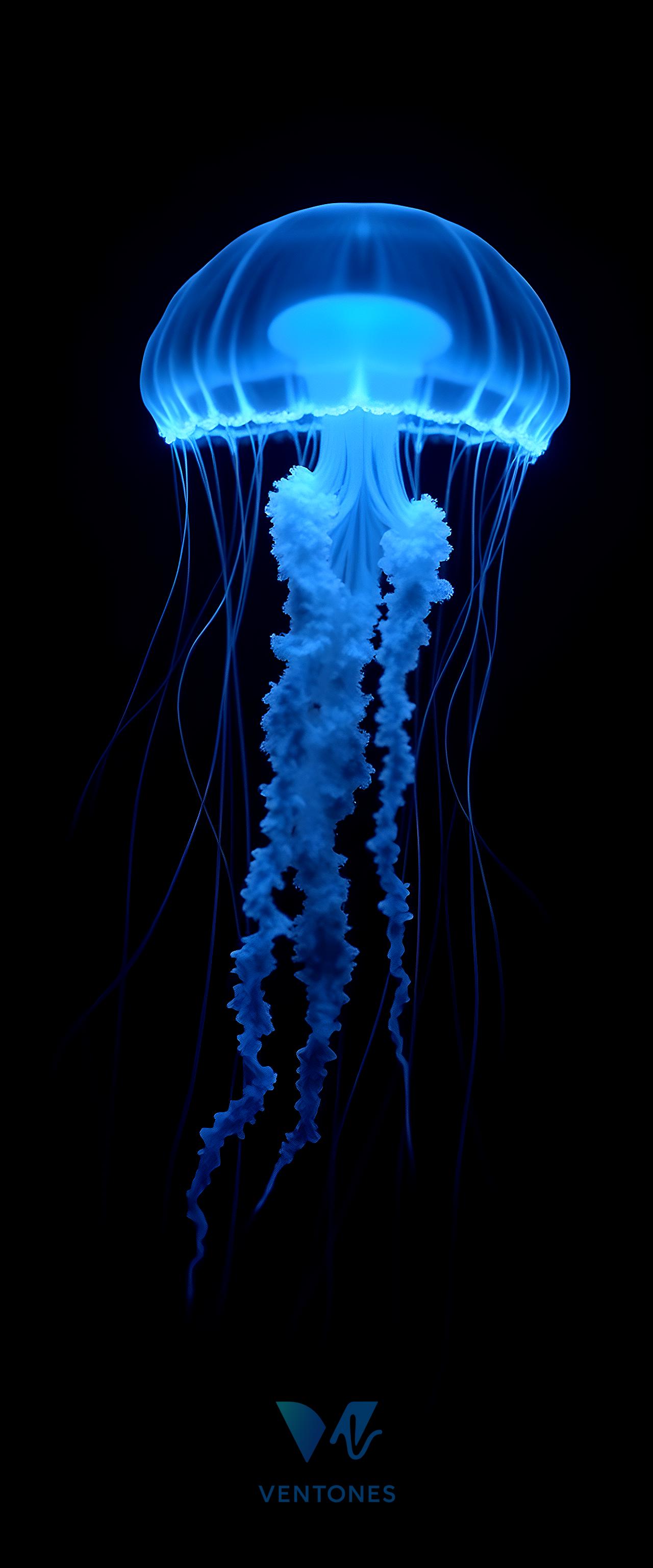 Luminous Blue Jellyfish Glowing in Deep Ocean Darkness - AI Generated Wallpaper