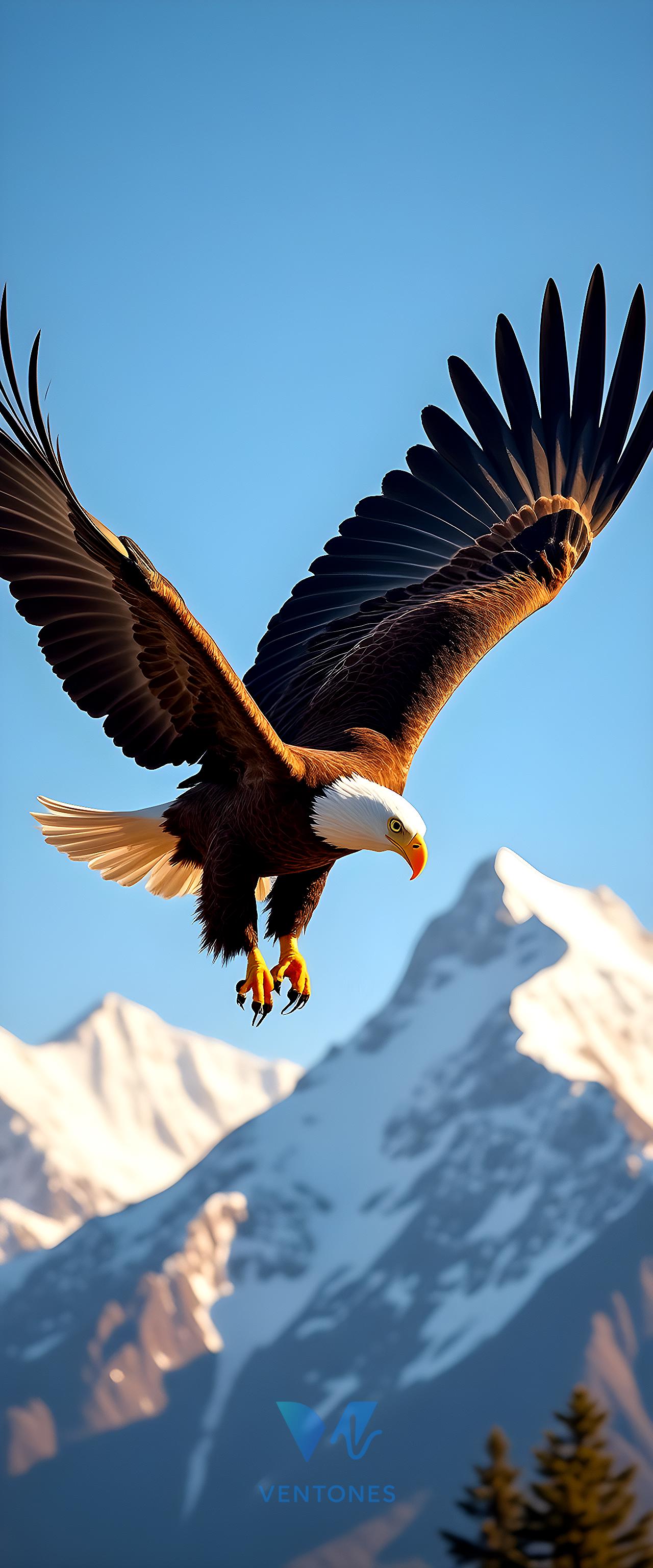 Majestic Eagle Soaring Over Snow-Capped Mountain Peaks - AI Generated Wallpaper