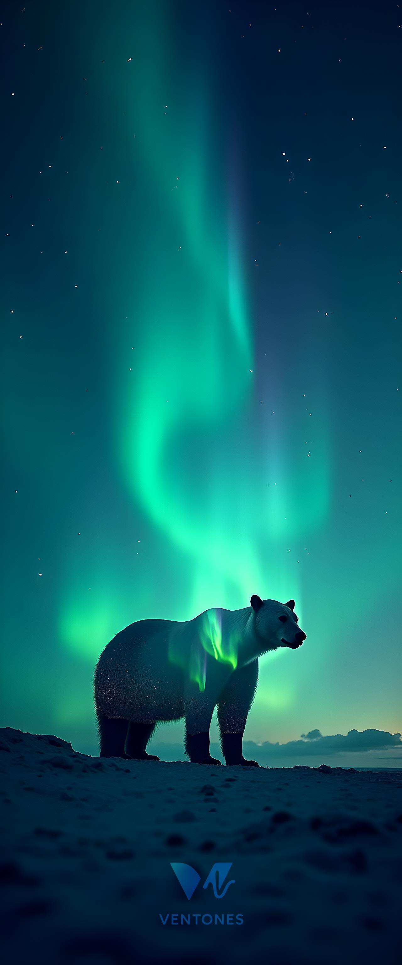 Polar Bear Under Northern Lights Aurora Borealis Night Sky - AI Generated Wallpaper