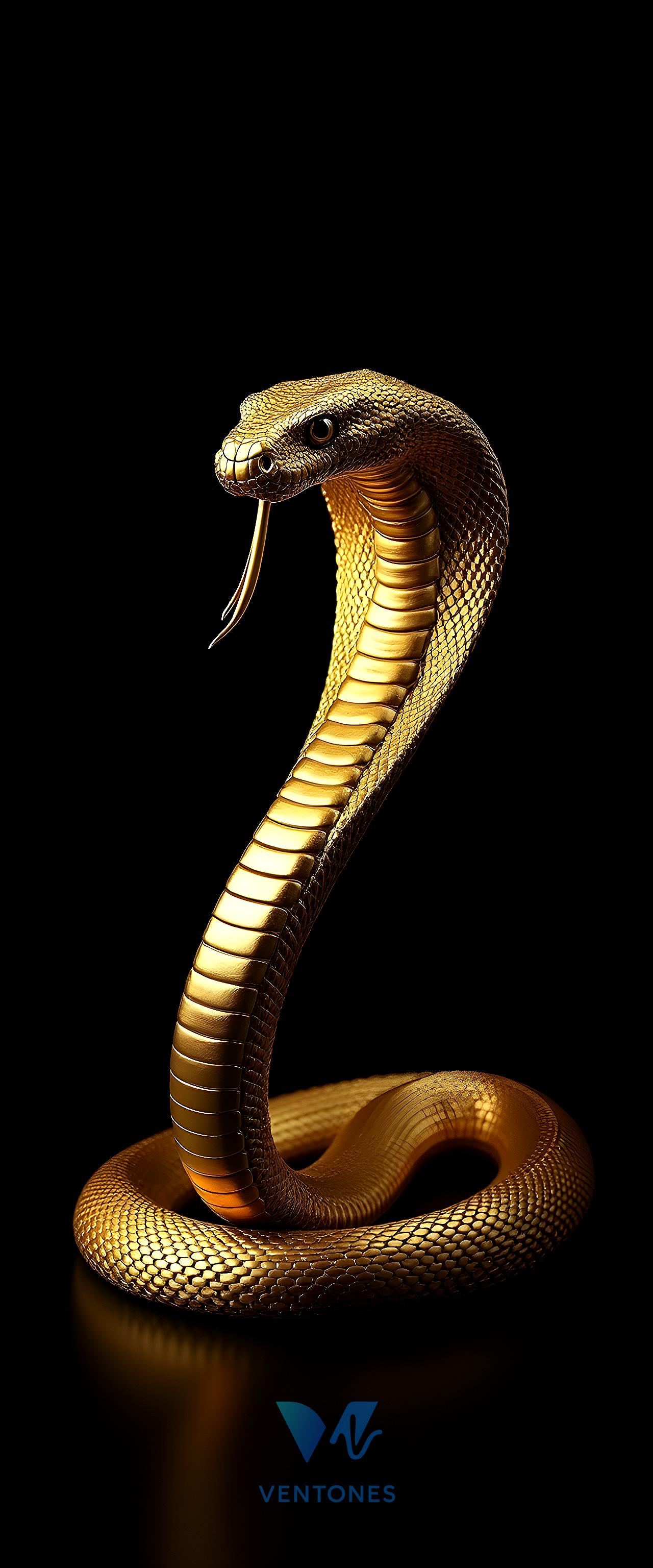 Golden Cobra Snake Dark Luxury Mobile Wallpaper - AI Generated Wallpaper