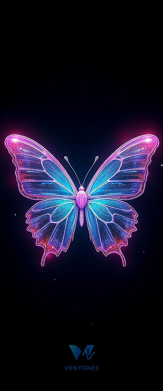 Neon Butterfly Digital Art - Vibrant Pink Blue Glowing Wings - AI Generated Wallpaper