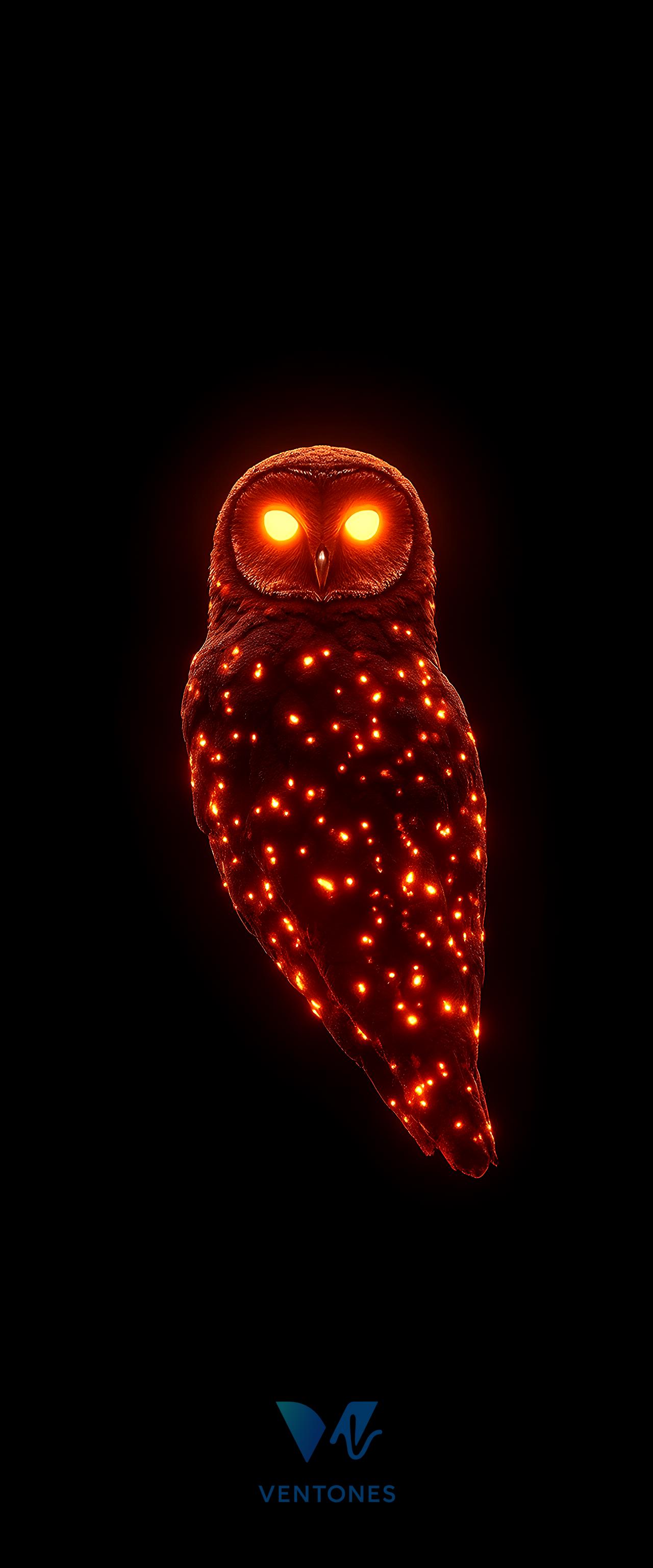 Glowing Fire Owl with Light Points Dark Background Wallpaper - AI Generated Wallpaper